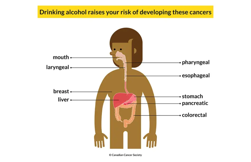Drinking alcohol increases your risk of cancer